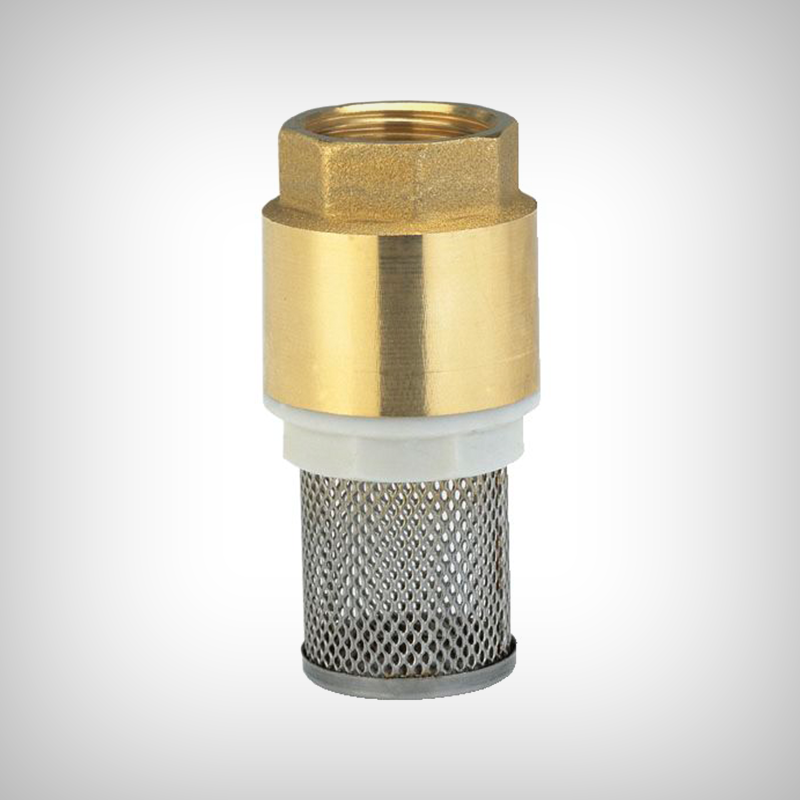 Valva de suctiune cu filtru 3/4 Valva de suctiune cu filtru 3/4