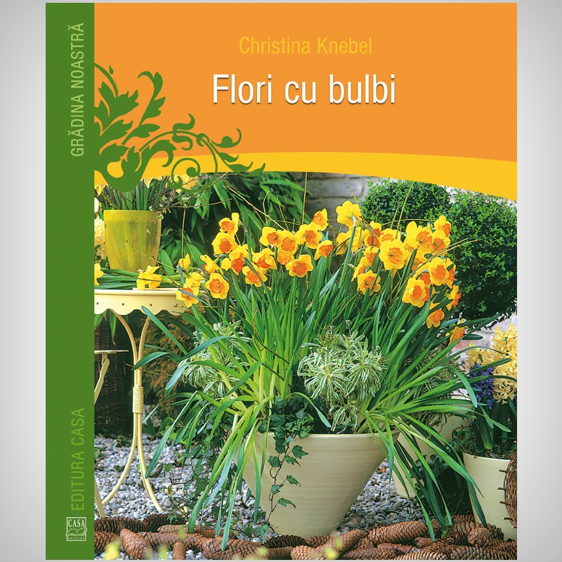 Flori cu bulbi Flori cu bulbi