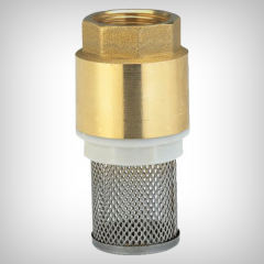 Valva de suctiune cu filtru 1 1/4
