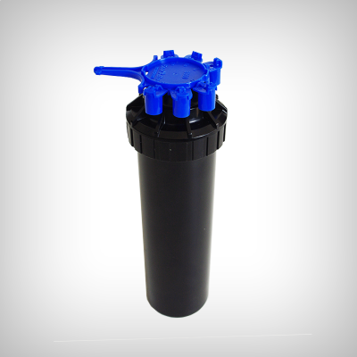 Hydrangea4937　1202 Hydrangea macrophylla Curly Wurly roz – Secret Garden Plant Shop