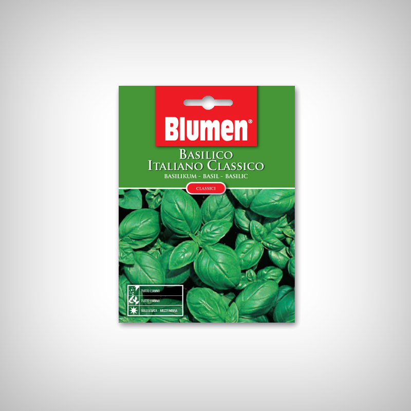 Seminte Busuioc clasic