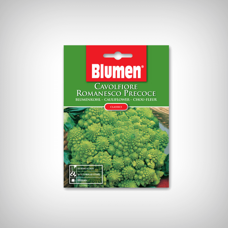Seminte Conopida Romanesco timpurie Seminte Conopida Romanesco timpurie
