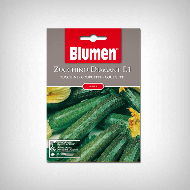 Seminte Dovlecel verde diamant F1 hibrid Seminte Dovlecel verde diamant F1 hibrid