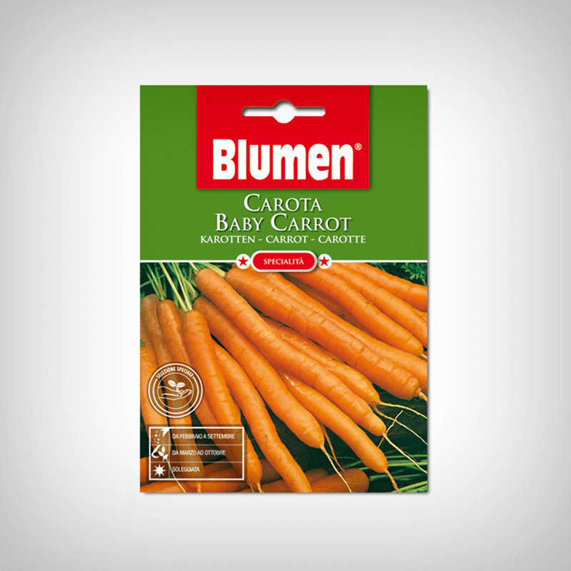 Seminte Morcov Baby Carrot Seminte Morcov Baby Carrot