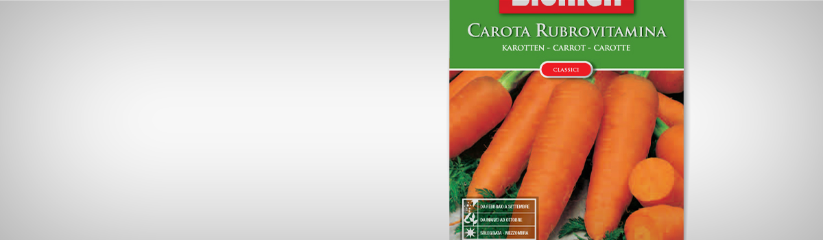 Seminte Morcovi RUBROVITAMINA - 1 | YEO