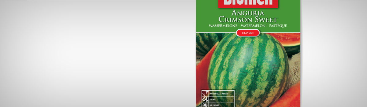 Seminte Pepene verde CRIMSON SWEET - 1 | YEO