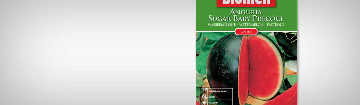 Seminte Pepene verde SUGAR BABY - 1 | YEO