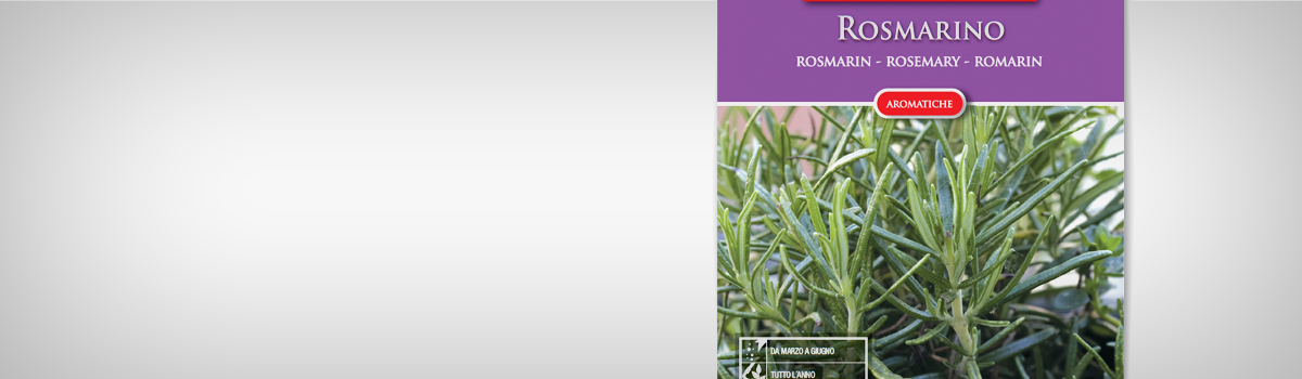 Seminte Rozmarin - 1 | YEO