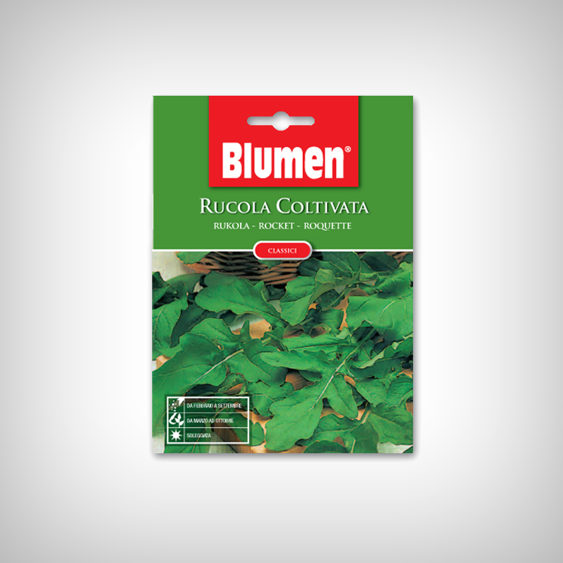 Seminte Rucola Seminte Rucola