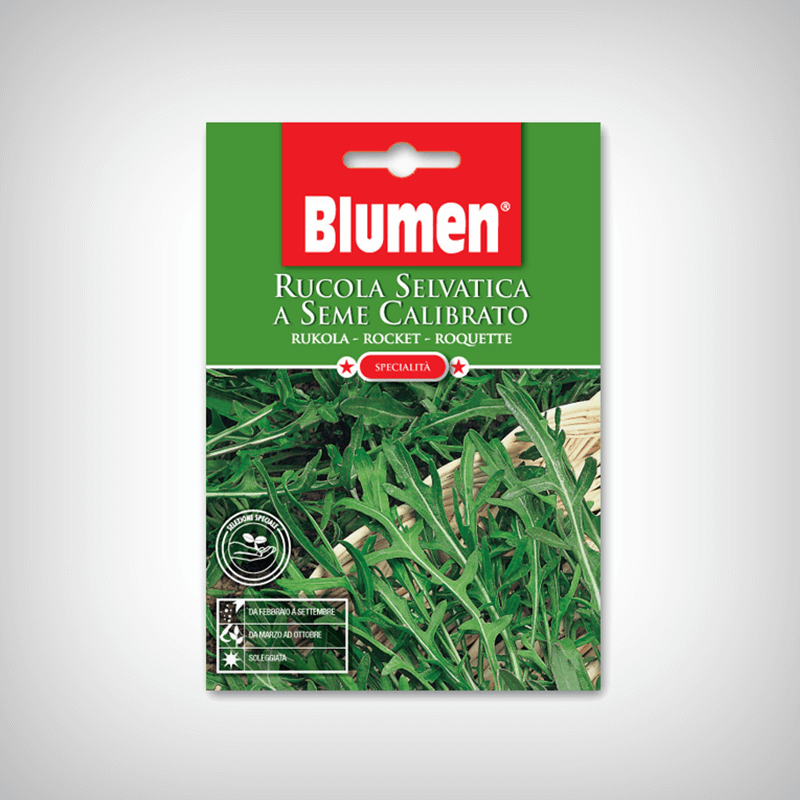 Seminte Rucola salbatica Seminte Rucola salbatica