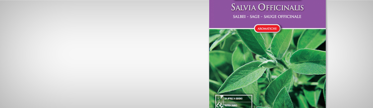 Seminte Salvie OFFICINALIS - 1 | YEO