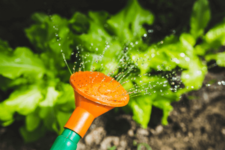 Sfaturi BIO pentru o vara verde!